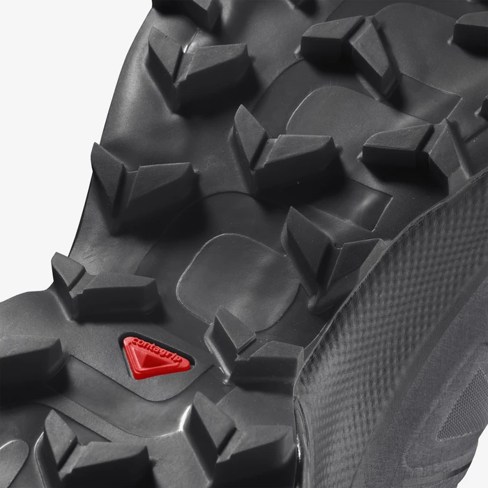 Salomon Speedcross 5 magnet/black/phantom (Herren)