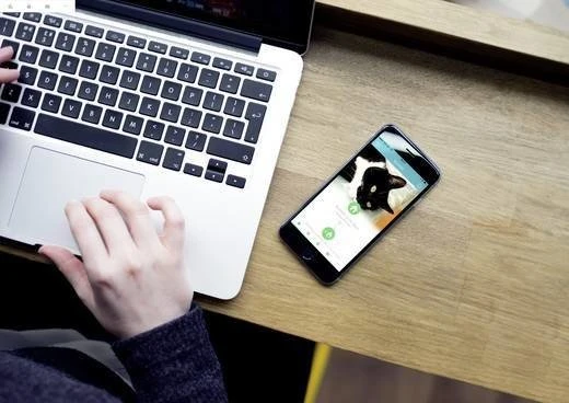 Sure Petcare SureFlap Connect Microchip XL Haustierklappe, weiß