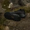 adidas Terrex Agravic GTX Trail core black/grey six (Damen) Vorschaubild