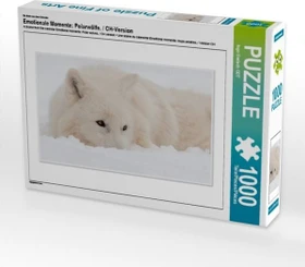 Calvendo Ein Motiv aus dem Kalender Emotionale Momente: Polarwölfe