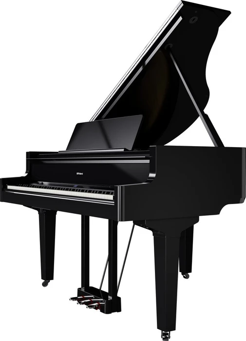 Roland GP-9 schwarz