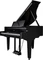 Roland GP-9 schwarz Vorschaubild