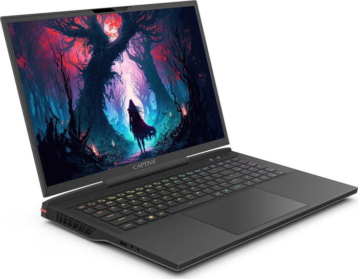 Captiva Highend Gaming I81-500, Core i9-14900HX, 16GB RAM, 1TB SSD, GeForce RTX 4080, DE