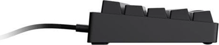 Endgame Gear KB65HE Hall Effect Gaming Tastatur, schwarz, LEDs RGB, Gateron KS-37B Magnetic, USB, ND