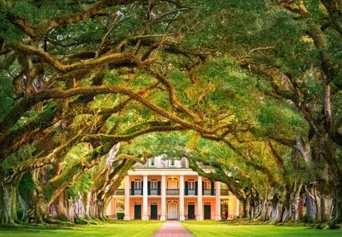 Castorland Oak Alley Plantation