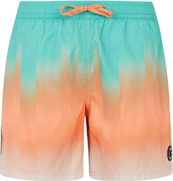 Protest Bowery Badeshorts (Herren)