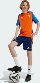 adidas Juventus Turin Tiro 24 Competition Hose kurz team navy blue 2 (Junior)