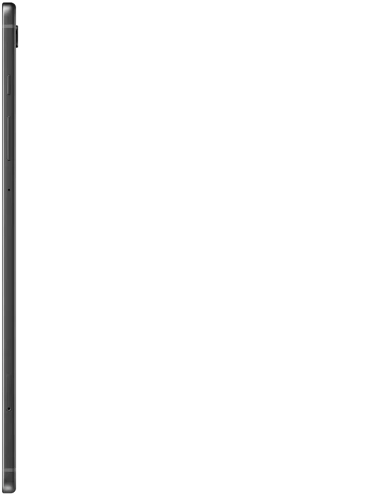 Samsung Galaxy Tab S6 Lite P620, Oxford Gray, 64GB
