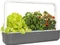 Click & Grow Smart Garden 9 Indoor Pflanzkasten Vorschaubild