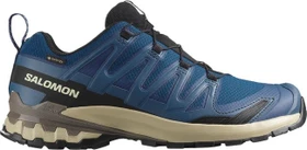 Salomon XA Pro 3D V9 GTX poseidon/white pepper/falcon (Herren)