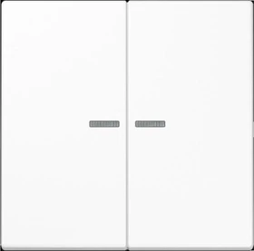 Jung Wippe 2fach, F10, mit Pfeilsymbolen, Duroplast antimikrobiell, Serie LS, alpinweiß