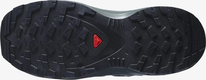 Salomon XA Pro 3D V8 black/urban chic/sulphur (Junior)