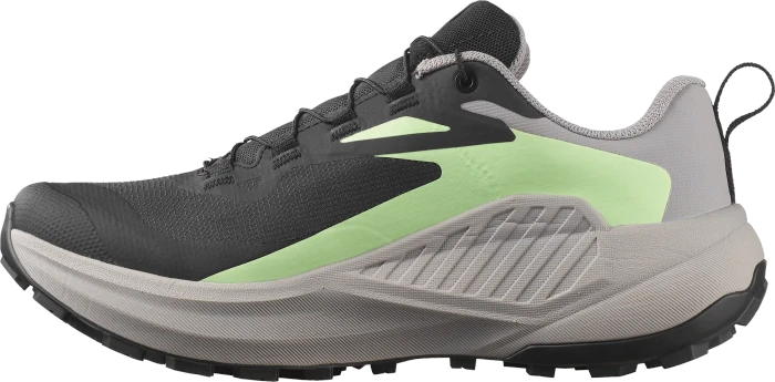 Salomon Genesis GTX black/gull/patina green (Damen)