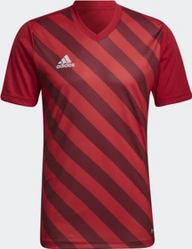 adidas Entrada 22 Graphic Trikot kurzarm team power red 2/shadow red (Herren)