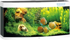 Juwel Vision 260 LED Aquarium-Set, weiß, 260l