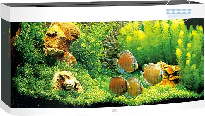Juwel Vision 260 LED Aquarium