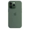 Apple Silikon Case mit MagSafe für iPhone 13 Pro Eukalyptus Vorschaubild