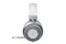 Razer Kraken Mercury Edition (2019) Vorschaubild