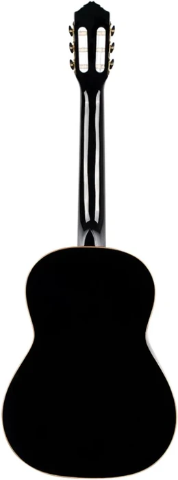 Ortega R221BK