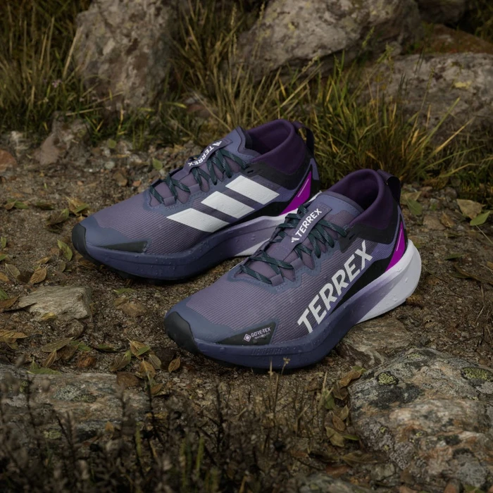 adidas Terrex Agravic GTX Trail preloved violet/cloud white/purple burst (Damen)