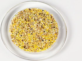 Versele-Laga Country's Best Gra-Mix Küken & Wachtel, 20kg