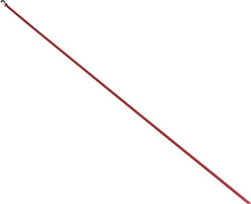 DeLOCK Edelstahl Kabelbinder, 4.6mm, 500mm, rot, 10 Stück