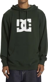 DC Star Hoodie mountain view (Herren)