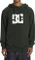 DC Star Hoodie (Herren) Vorschaubild