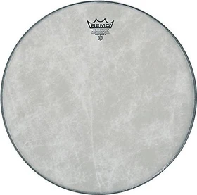 Remo Ambassador Fiberskyn 12"