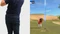 Mario Golf: Super Rush (Switch) Vorschaubild