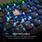 Roccat Vulcan II, LEDs RGB, schwarz, TITAN II BROWN, USB, DE Vorschaubild