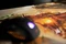 Konix Dungeons & Dragons XXL The Rise of Tiamat Mouse Pad, 900x465mm, Motiv schwarz/braun Vorschaubild