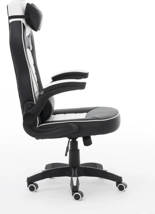 Raptor Gaming GS-50 Gamingstuhl, schwarz/weiß