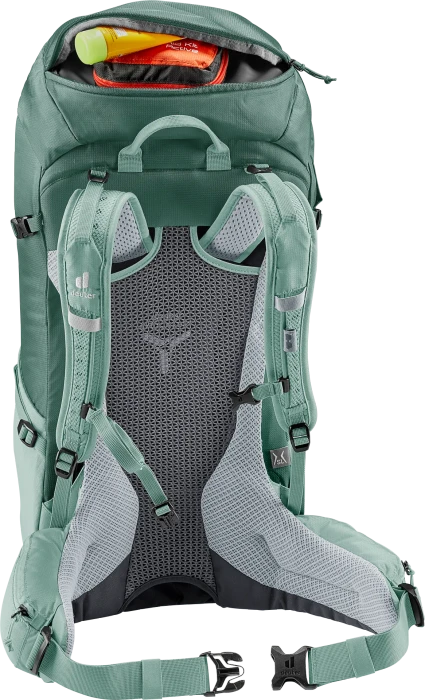 Deuter Futura 30 SL forest/jade (Damen)