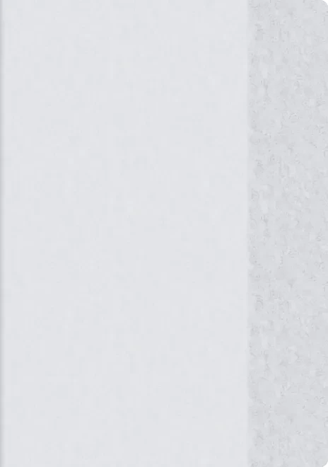 Brunnen Heftschoner PVC, A4, transparent