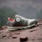 adidas Terrex Agravic BOA wonder beige/olive strata/semi impact orange (Junior) Vorschaubild