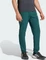 adidas Terrex Xperior Light Hose lang aurora ivy (Herren) Vorschaubild