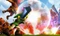 Hyrule Warriors: Legends - Limited Edition (3DS) Vorschaubild