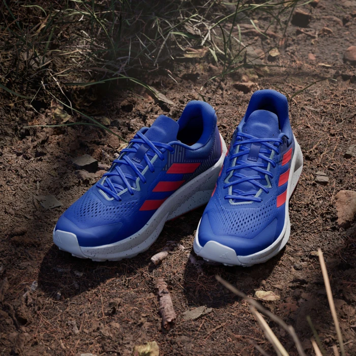 adidas Terrex Soulstride Flow dash grey/pure ruby/semi lucid blue (Herren)