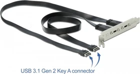 DeLOCK Slotblende, 2x USB-C 3.1