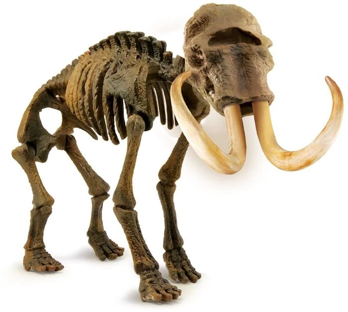 Clementoni Galileo Ausgrabungs-Set Mammut