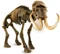 Clementoni Galileo Ausgrabungs-Set Mammut Vorschaubild