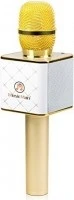 Technaxx MusicMan Karaoke BT-X31 gold
