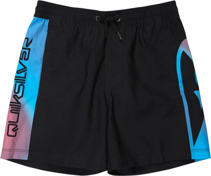 Quiksilver Everyday Holmes Volley 16" Badeshorts schwarz (Junior)