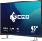 Eizo FlexScan EV4340X, schwarz, 42.5" Vorschaubild