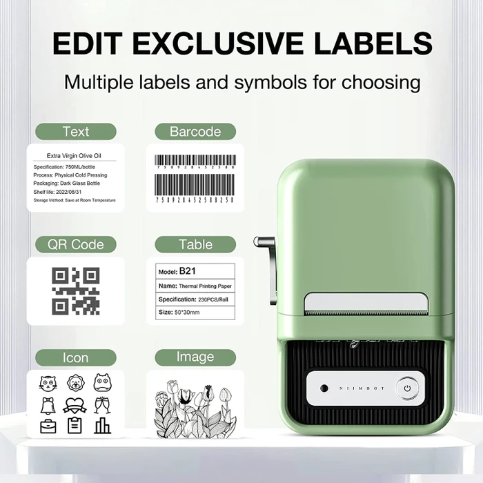 Niimbot B21 Wireless Label Printer, grün