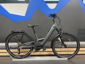 Pegasus Savino Evo FS10 Lite 500Wh graphite matt Modell 2023