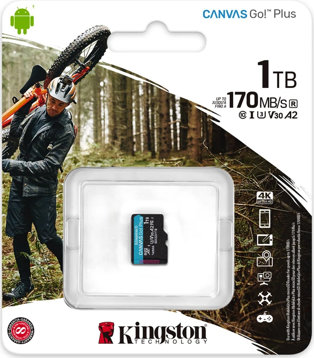 Kingston Canvas Go! Plus R170/W90 1TB, UHS-I U3, A2, Class 10