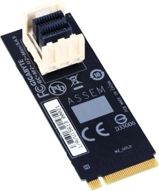 GIGABYTE GC-M2-U2-MiniSAS