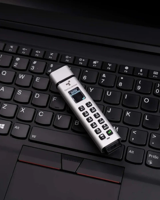 DataLocker Sentry K350 256GB, USB-A, USB 3.2 Gen 1×1 (SK350-256-FE) – Bild 3 von 5